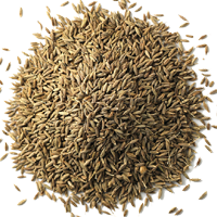 cumin