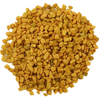 fenugreek